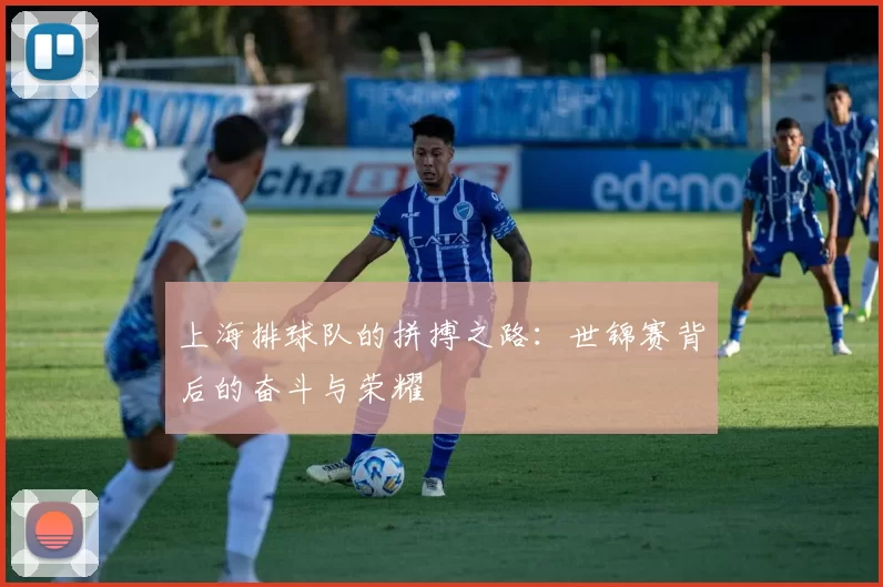上海排球队的拼搏之路：世锦赛背后的奋斗与荣耀