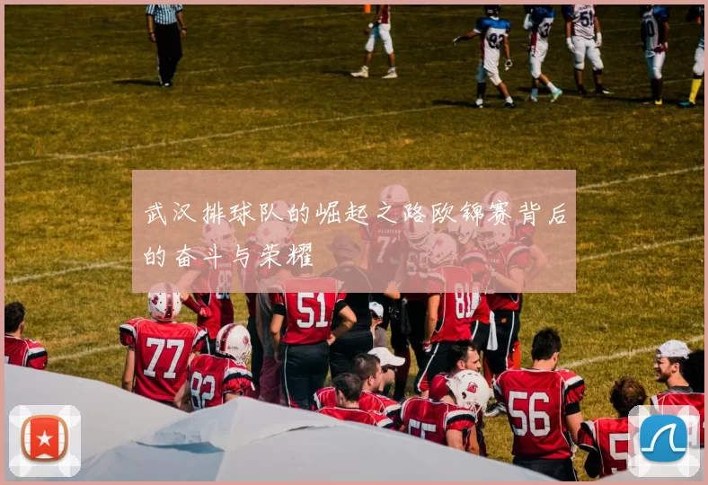 武汉排球队的崛起之路欧锦赛背后的奋斗与荣耀