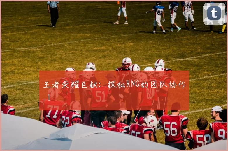 王者荣耀巨献：探秘RNG的团队协作_1