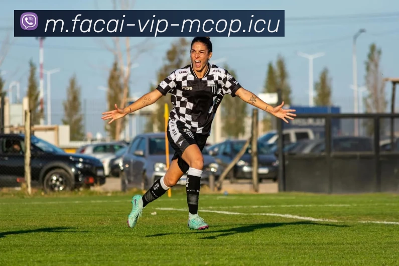 九游体育APP 封面图